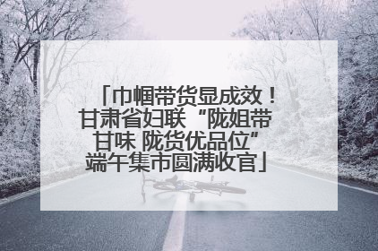 巾帼带货显成效！甘肃省妇联“陇姐带甘味 陇货优品位”端午集市圆满收官