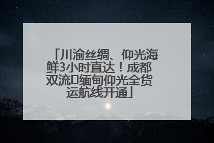 川渝丝绸、仰光海鲜3小时直达！成都双流⇌缅甸仰光全货运航线开通