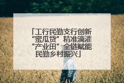 工行民勤支行创新“蜜瓜贷”精准滴灌“产业田”全链赋能民勤乡村振兴