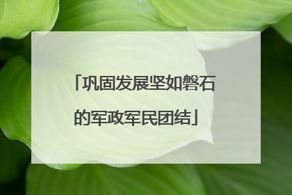 巩固发展坚如磐石的军政军民团结