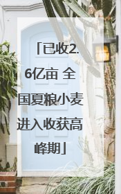 已收2.6亿亩 全国夏粮小麦进入收获高峰期