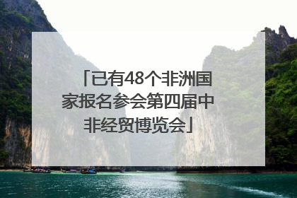 已有48个非洲国家报名参会第四届中非经贸博览会