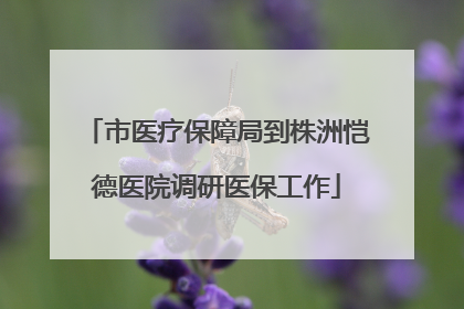 市医疗保障局到株洲恺德医院调研医保工作