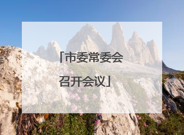 市委常委会召开会议