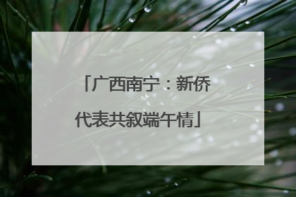 广西南宁：新侨代表共叙端午情
