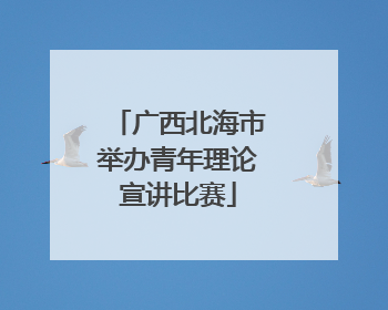 广西北海市举办青年理论宣讲比赛