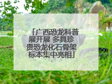 广西恐龙科普展开展 多具珍贵恐龙化石骨架标本集中亮相