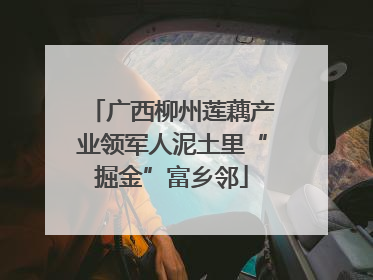 广西柳州莲藕产业领军人泥土里“掘金”富乡邻