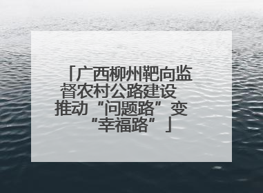 广西柳州靶向监督农村公路建设 推动“问题路”变“幸福路”