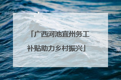 广西河池宜州务工补贴助力乡村振兴
