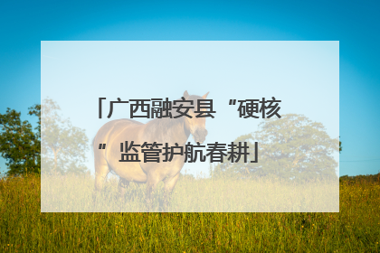 广西融安县“硬核”监管护航春耕