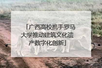 广西高校携手罗马大学推动建筑文化遗产数字化创新