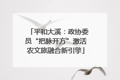 平和大溪：政协委员“把脉开方”激活农文旅融合新引擎