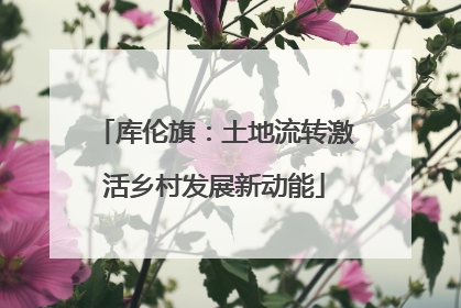 库伦旗：土地流转激活乡村发展新动能