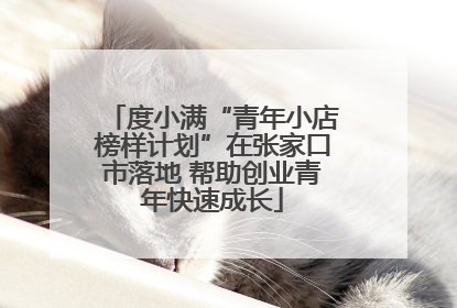 度小满“青年小店榜样计划”在张家口市落地 帮助创业青年快速成长