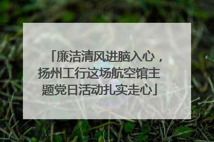 廉洁清风进脑入心，扬州工行这场航空馆主题党日活动扎实走心