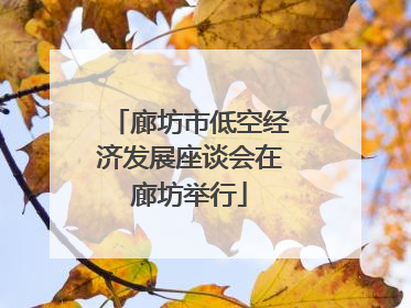 廊坊市低空经济发展座谈会在廊坊举行