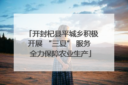 开封杞县平城乡积极开展 “三夏” 服务 全力保障农业生产