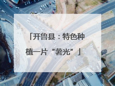 开鲁县：特色种植一片“薯光”