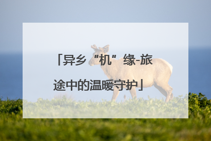 异乡“机”缘-旅途中的温暖守护