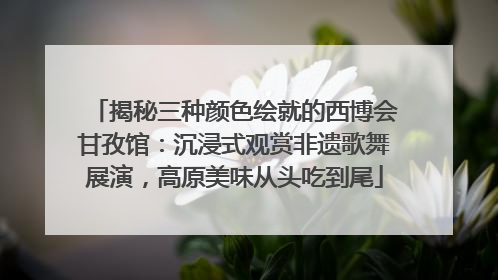 揭秘三种颜色绘就的西博会甘孜馆：沉浸式观赏非遗歌舞展演，高原美味从头吃到尾