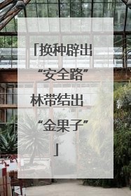 换种辟出“安全路” 林带结出“金果子”