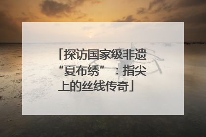 探访国家级非遗“夏布绣”：指尖上的丝线传奇
