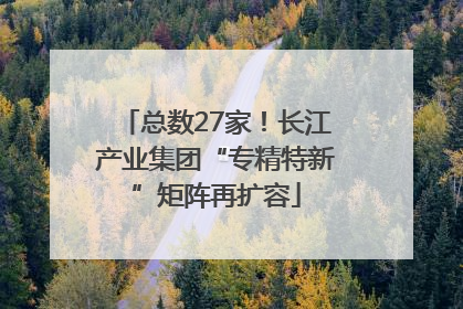 总数27家！长江产业集团“专精特新”矩阵再扩容