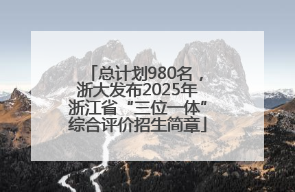 总计划980名，浙大发布2025年浙江省“三位一体”综合评价招生简章