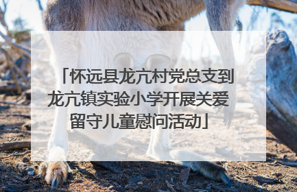 怀远县龙亢村党总支到龙亢镇实验小学开展关爱留守儿童慰问活动