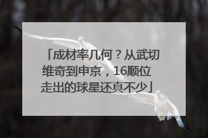 成材率几何？从武切维奇到申京，16顺位走出的球星还真不少