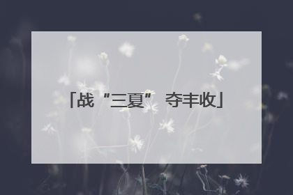 战“三夏” 夺丰收