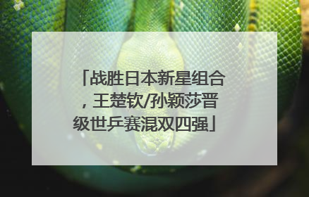 战胜日本新星组合，王楚钦/孙颖莎晋级世乒赛混双四强