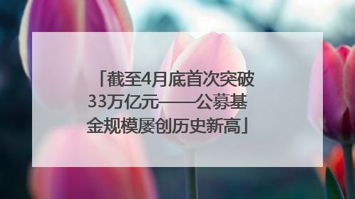截至4月底首次突破33万亿元——公募基金规模屡创历史新高