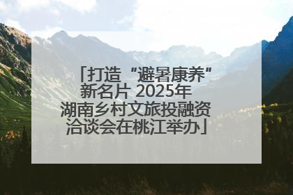 打造“避暑康养”新名片 2025年湖南乡村文旅投融资洽谈会在桃江举办