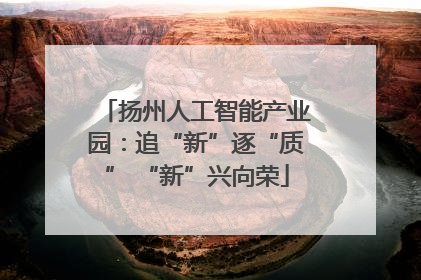 扬州人工智能产业园：追“新”逐“质” “新”兴向荣