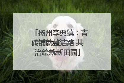 扬州李典镇：青砖铺就整洁路 共治绘就新田园