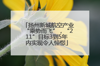 扬州新城航空产业“乘势而飞”，“211”目标3到5年内实现令人憧憬