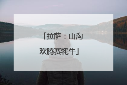 拉萨：山沟欢腾赛牦牛