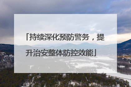 持续深化预防警务，提升治安整体防控效能