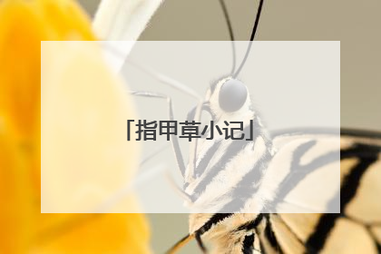 指甲草小记