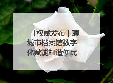 权威发布｜聊城市档案馆数字化赋能打造便民服务新模式