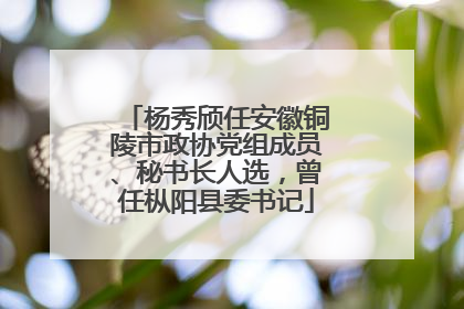 杨秀颀任安徽铜陵市政协党组成员、秘书长人选，曾任枞阳县委书记
