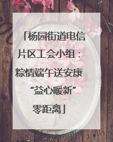 杨园街道电信片区工会小组：粽情端午送安康 “益心暖新”零距离