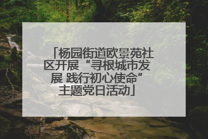 杨园街道欧景苑社区开展“寻根城市发展 践行初心使命”主题党日活动
