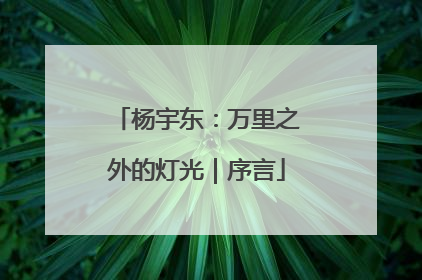 杨宇东：万里之外的灯光｜序言