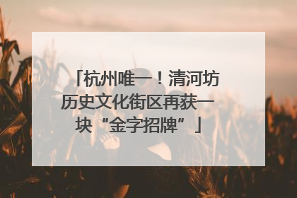 杭州唯一！清河坊历史文化街区再获一块“金字招牌”