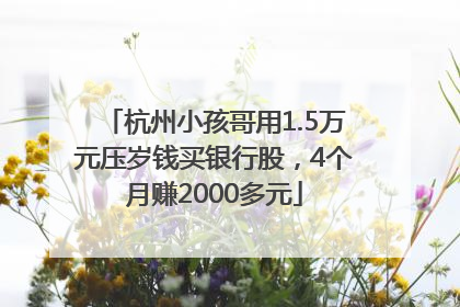 杭州小孩哥用1.5万元压岁钱买银行股，4个月赚2000多元