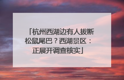 杭州西湖边有人拔断松鼠尾巴？西湖景区：正展开调查核实