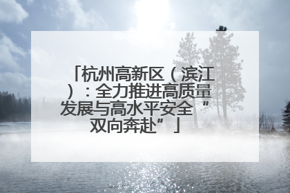 杭州高新区（滨江）：全力推进高质量发展与高水平安全“双向奔赴”